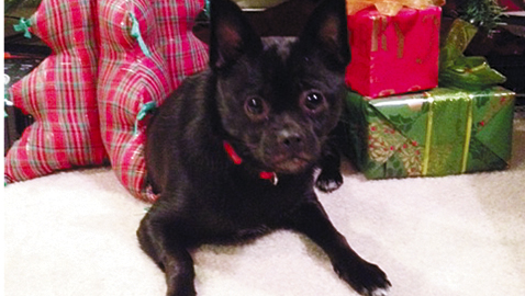 photo 1 Santa is trying to find Nike a “loving permanent family.”