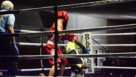 Georgia captures regional boxing title in Knoxville