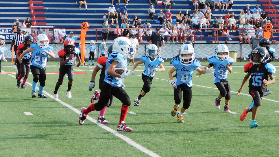 Powell second grade team is impressive in title run